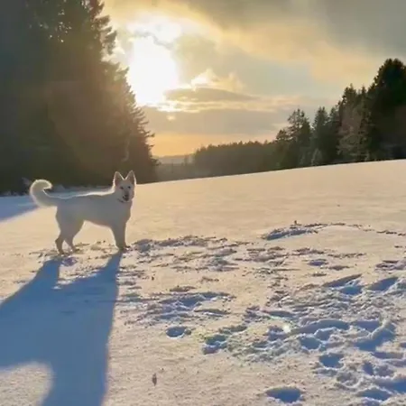 Tannenduft Apartamento