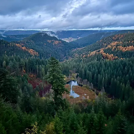 Tannenduft Freudenstadt