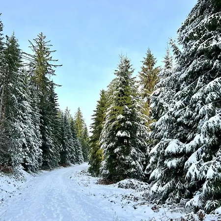 Apartamento Tannenduft