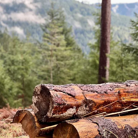 Apartamento Tannenduft