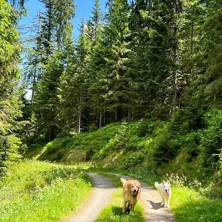 Apartamento Tannenduft *