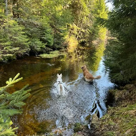 Tannenduft * Freudenstadt