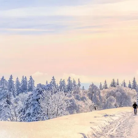 Tannenduft Freudenstadt