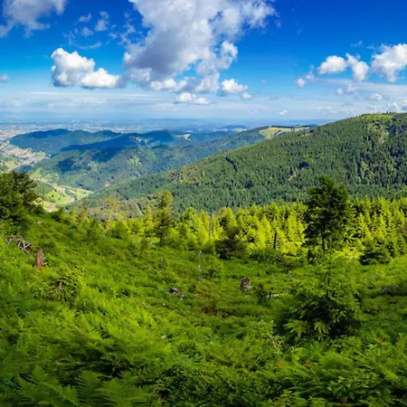 Tannenduft * Freudenstadt