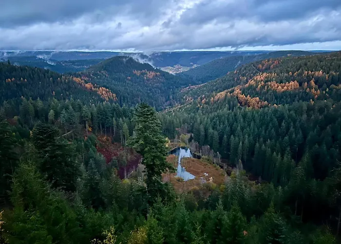 Tannenduft Freudenstadt
